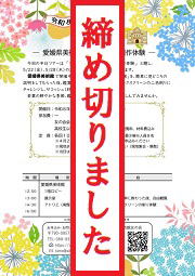 半日ツアーイメージ